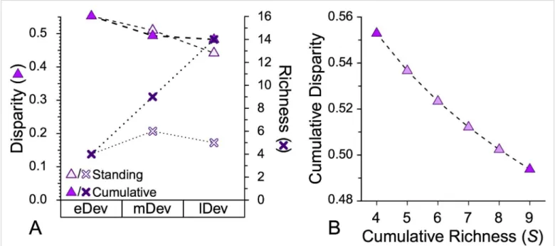 Fig. S6 – Cumulative vs. standing disparity and richness for Floweria species (A) and interpolated  cumulative disparity halfway through clade evolution (B)