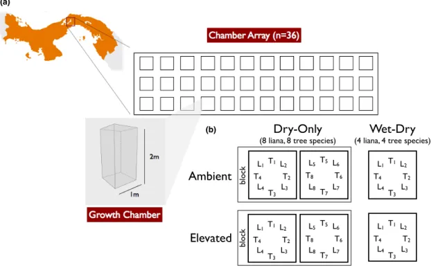 Figure 2.1. a) Open top chamber array location, layout, and dimensions. b)  experimental design and species distribution among CO 2  treatments and chambers  for each experiment