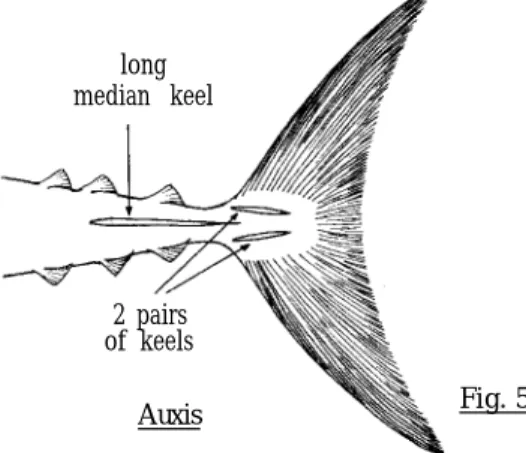 Fig. 9Fig. 5
