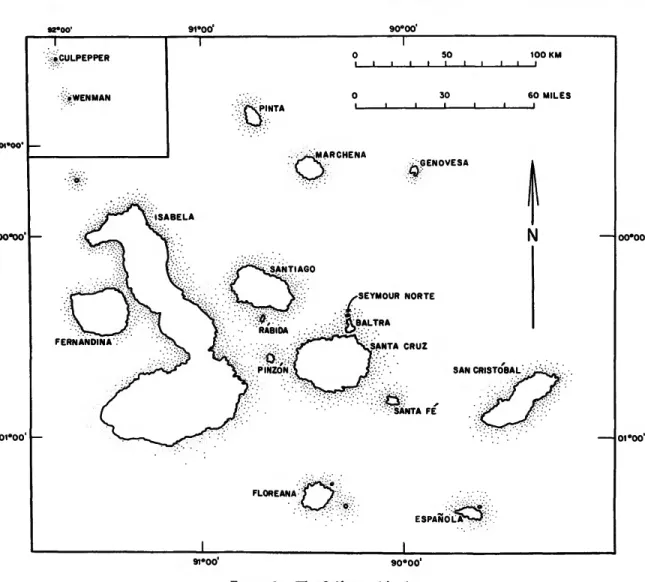 Holocene Vertebrate Fossils from Isla Floreana, Galapagos