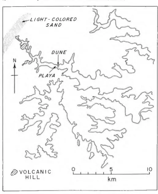Fig. 4. Map ofWadi Bakki on the souiheastern margin of the GilfKehir (based on LANDSAT  images) 