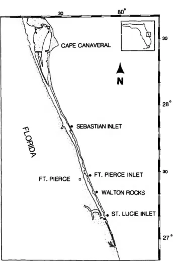 FIGURE 1.—Map of area sampled on centra] Florida east coast, between Sebastian and St