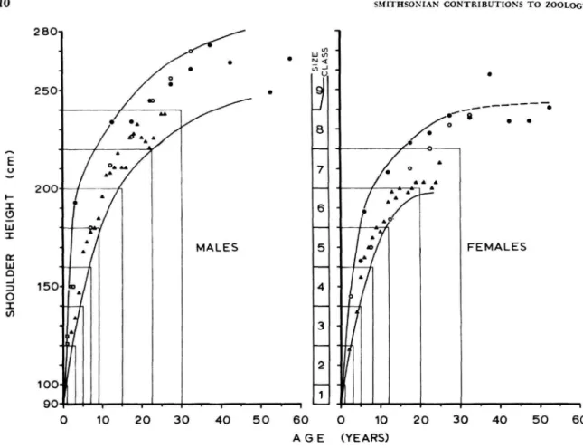 FIGURE 1.—Growth curves for Elephas maximus. Horizontal lines indicate the limits of size classes; vertical lines, the approximate age equivalents of these classes