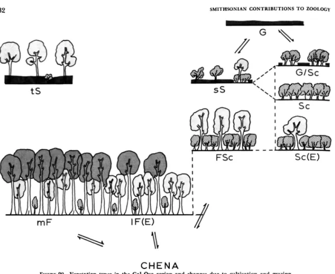 FIGURE 20.—Vegetation types in the Gal Oya region and changes due to cultivation and grazing.