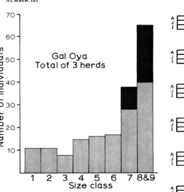 FIGURE 25.—Size class distribution of the elephant population in the Gal Oya region. Black —males.