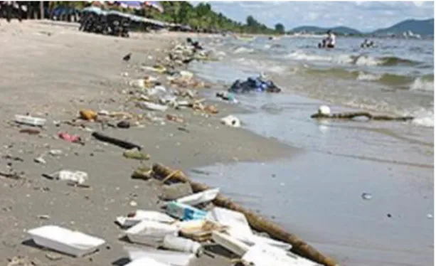Figure  2.  Waste  on  Bangsean  beach  as  in  daily  situation (Source: Seansuk municipality) 