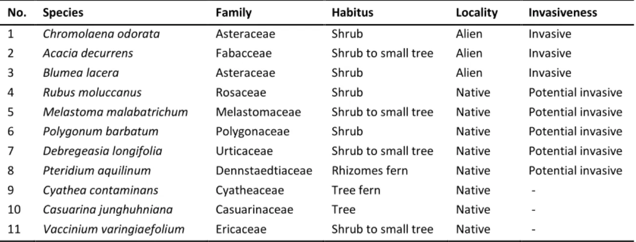 Table 1. List of plant species abundantly found along the corridor of Kawah Ijen Nature Tourism Park 