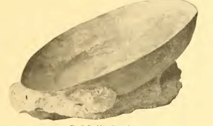 Fig. 65. Bowl I