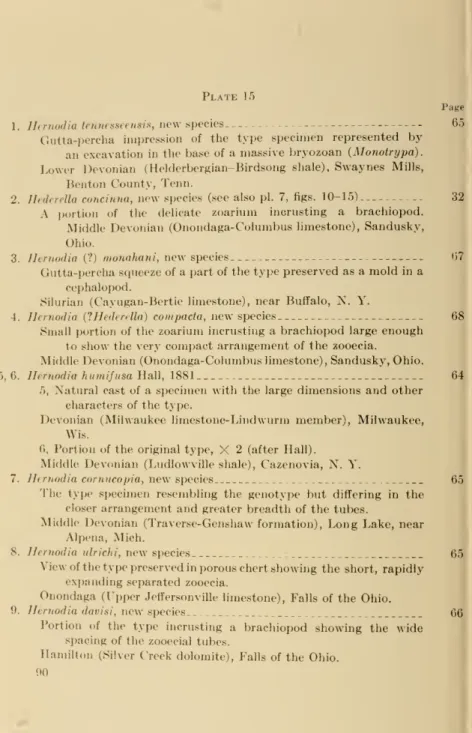 2. Hederella concinna, new species (see also pi. 7, figs. 10-15) 32