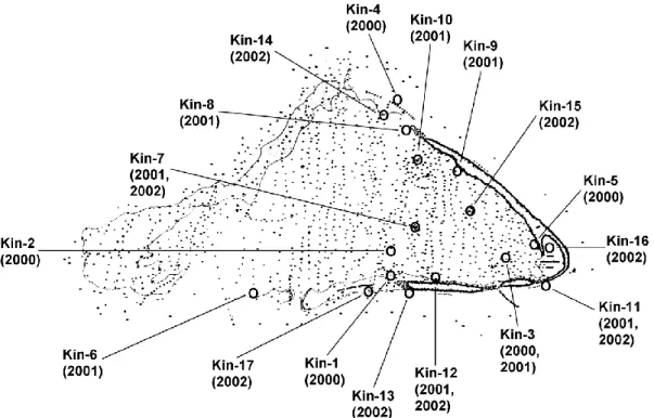 Figure 6. Outline and position of Kingman Reef as shown on NOAA navigational charts prior to 2003,  with locations of NOAA Fisheries fish transect stations.