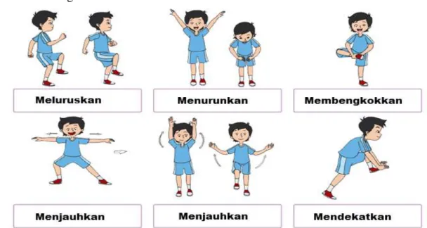 Gambar macam gerak otot   