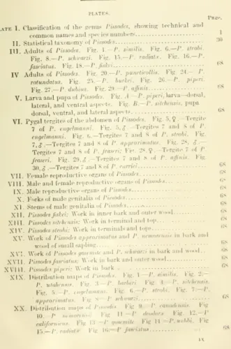 Fig s.—P. schwarzi. Fig. 15.— />. radiatx. Fig. 16.— P.