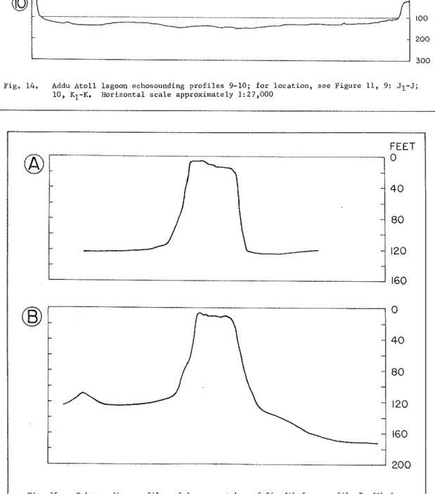 Fig.  15.  Echosounding profiles  of  lagoon patch  reef 24:  (A)  from profile  7,  ( 8 )   from  profile  8