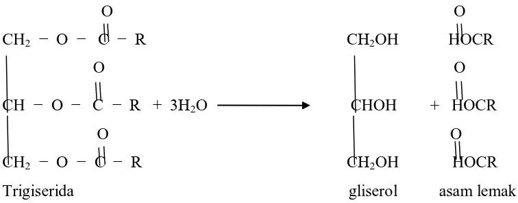 Gambar 2.1. Mekanisme reaksi Hidrolisa Trigliserida  ( Harold,H, 1983) 