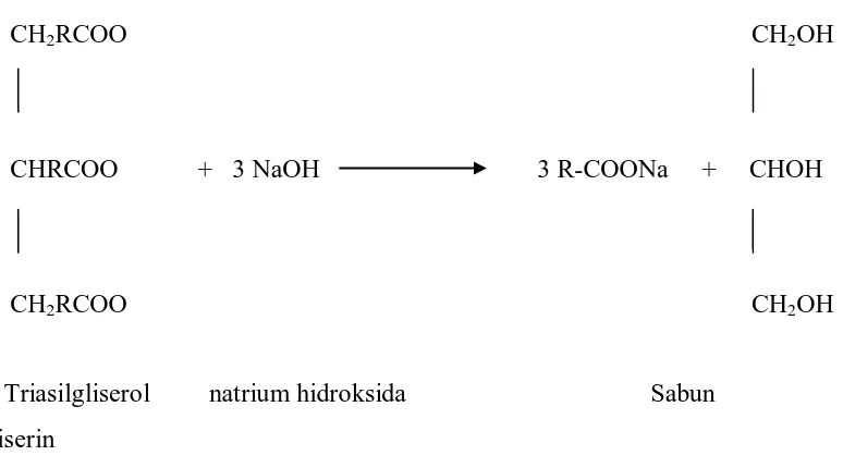 Gambar 2.2. Mekanisme reaksi Hidrolisa pada Fat Splitting 