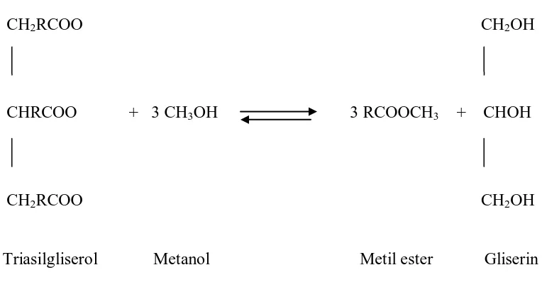 Gambar 2.4. Mekanisme reaksi transesterifikasi lemak dengan metanol 