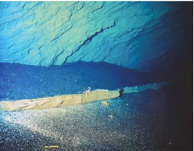 Figure 5. La Foce cave, accumulation of black volcanic sand inside the phreatic sector