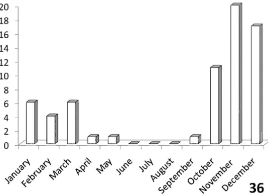 Figure 36. Activity patterns of adults of A. thoracica (Thunberg) in South Africa, based on museum  specimen records and summed by month across all years
