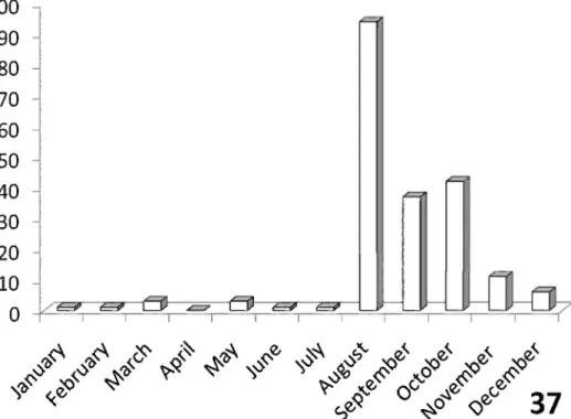 Figure 37. Activity patterns of adults of A. maxillosa (Fabricius) in South Africa, based on museum  specimen records and summed by month across all years