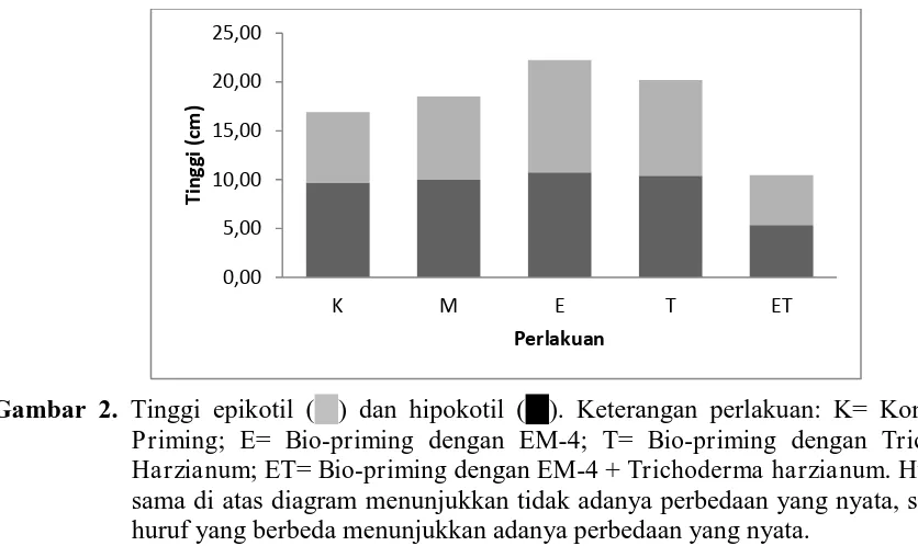 Gambar 2. Tinggi epikotil () dan hipokotil (). Keterangan perlakuan: K= Kontrol; M= Priming; E= Bio-priming dengan EM-4; T= Bio-priming dengan Trichoderma 