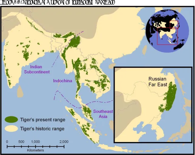 Figure  1.1. Historic and Present Distribution of Tigers 
