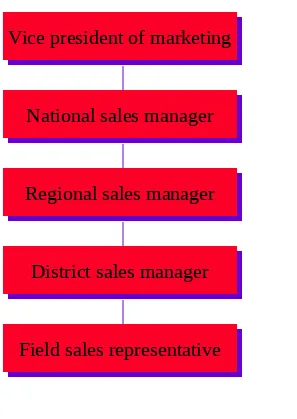 Figure 1-2:    Sales Organization in a Medium-Size firm