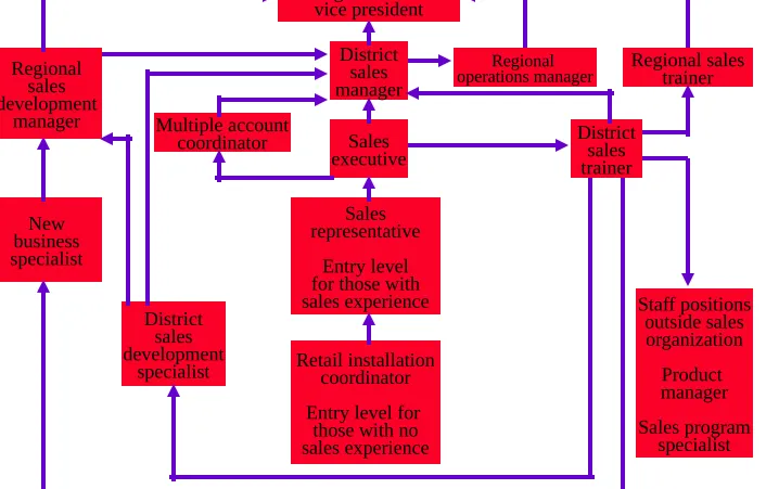 Figure 1-3:   Sales Paths at Hallmark Cards