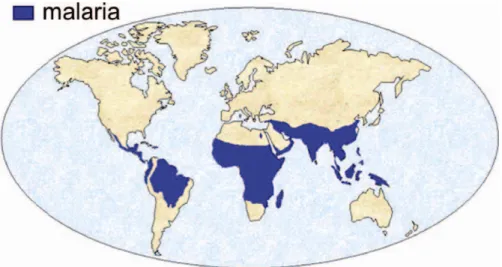 Figure 1. Geographic distribution of malaria. 3    