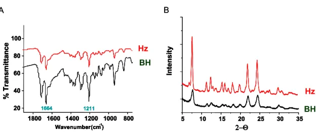 Figure 18. BH characterization. (A) FT-IR spectroscopic analysis and (B) XRD line  pattern of the synthetic material