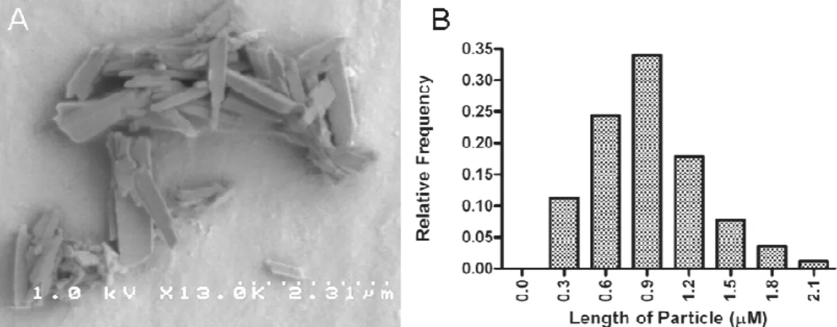 Figure 19. BH crystals. (A) Scanning electron micrograph of synthetic hemozoin  crystallites shows needles with well-defined facets