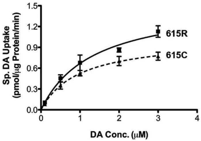 Figure  6  DA  Transport  Saturation  Kinetic Analysis: DA transport V max  and K m  are expressed  as pmol/μg protein/min and μM respectively