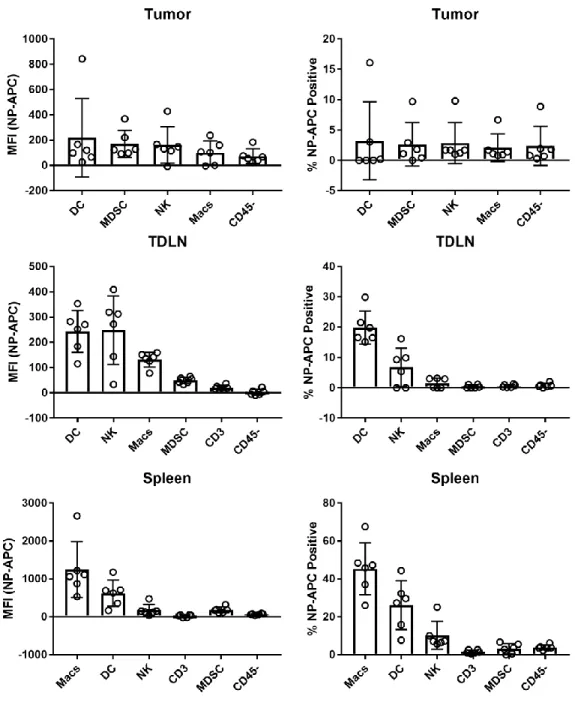 Figure 3.19. Flow cytometric analysis of STING-NP accumulation in cells found in the  tumor and  lymphoid organs