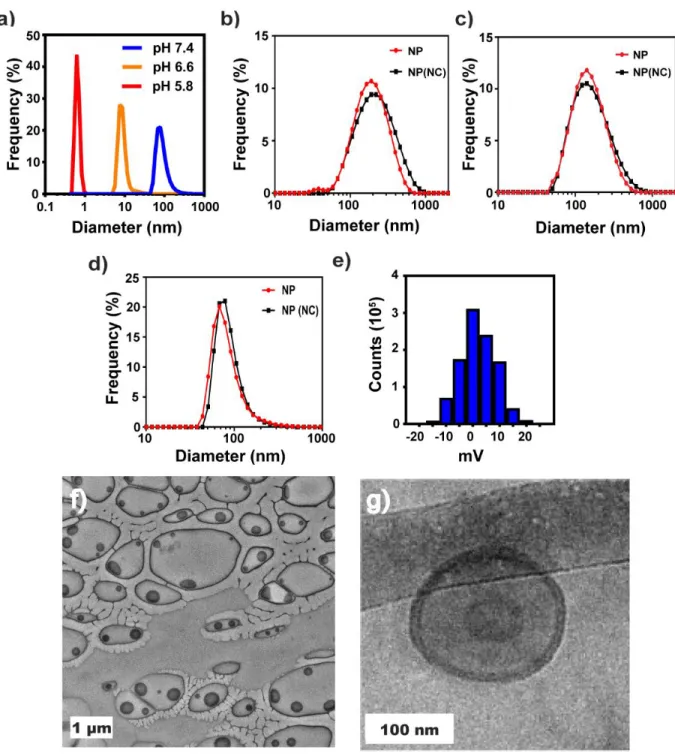 Figure 2.4 – Characterization of STING-NPs. a) Number average DLS traces indicating hydrodynamic  diameter  of  crosslinked  STING-NPs  at  various  pH