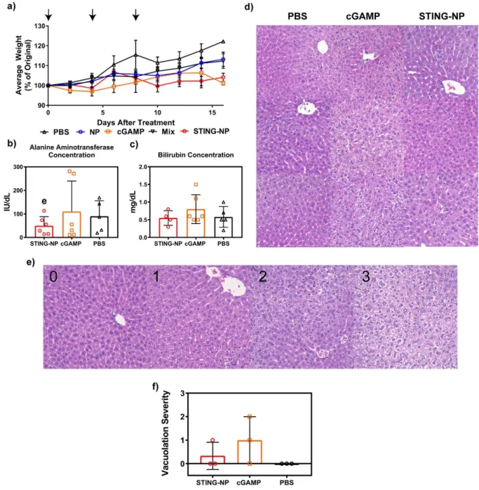 Figure  3.6.  Evaluation  of  IT  administered  STING-NP  and  cGAMP  toxicity.  a)  Longitudinal  measurement of mouse body weight following IT administration of three doses of indicated formulation  including 10 μg cGAMP per dose