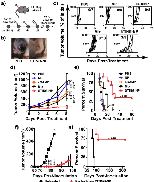 Figure 3.12. STING-NP enhance the immunotherapeutic efficacy of cGAMP and generate long-lived,  systemic antitumor immunity