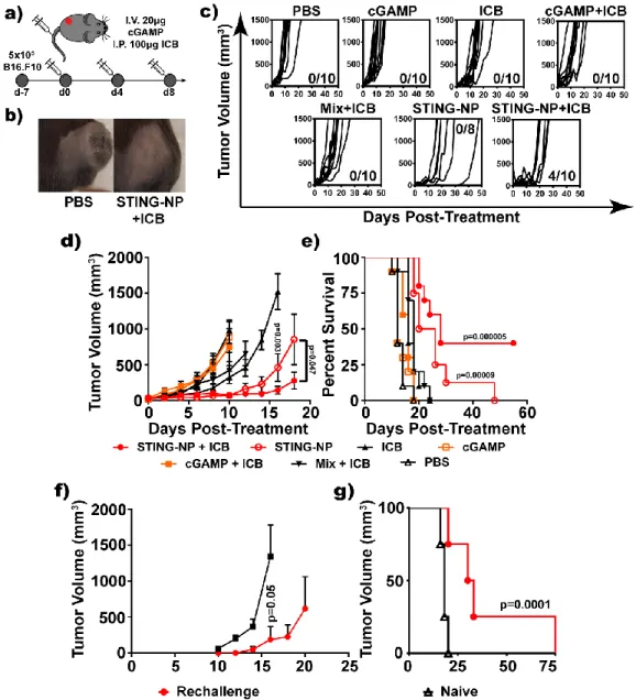 Figure  3.14.  Intravenous  STING-NP  administration  suppresses  tumor  growth  and  increases  the  effectiveness of ICB