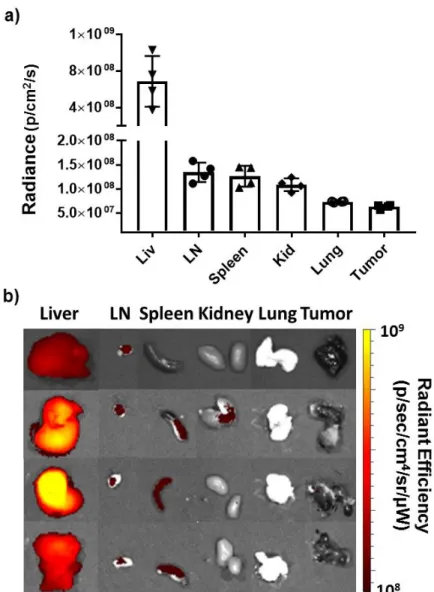 Figure 3.17. STING-NPs largely accumulate in the liver with lesser but significant accumulation in  lymphoid organs