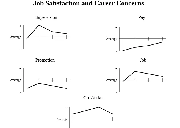 Figure 4Job Satisfaction and Career Concerns