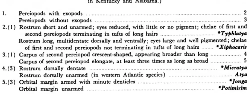 Lucifer typus.—Hansen 1919:53, pi. 4: figs. 6a-k.—Bowman and McCain 1967:660-670, figs