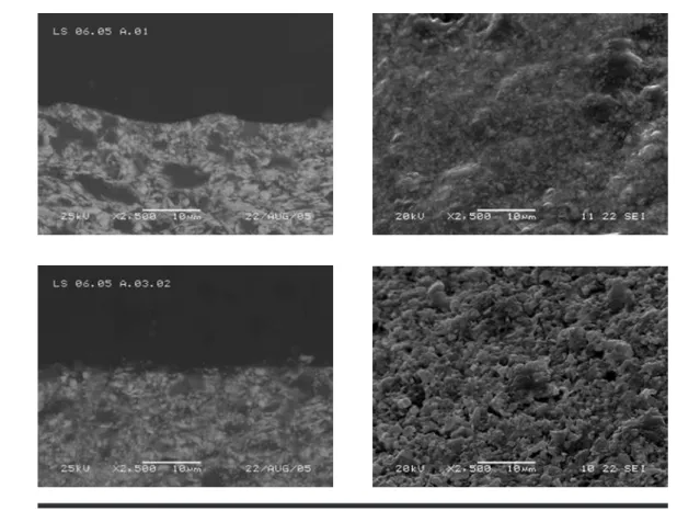 FIGUre 2. The SEM micrographs show (left) the cross section and (right) the surface of the samples