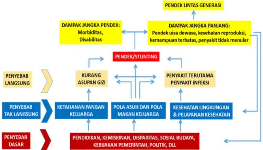 Gambar 5. Kerangka pembahasan pendek (stunting) di Indonesia,  dimodifikasi dari “Logical framework of the Nutritional Problems” 