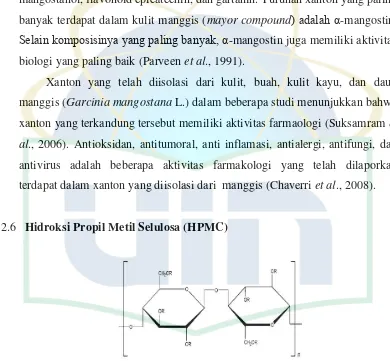 Gambar 2.6  Struktur Kimia HPMC  