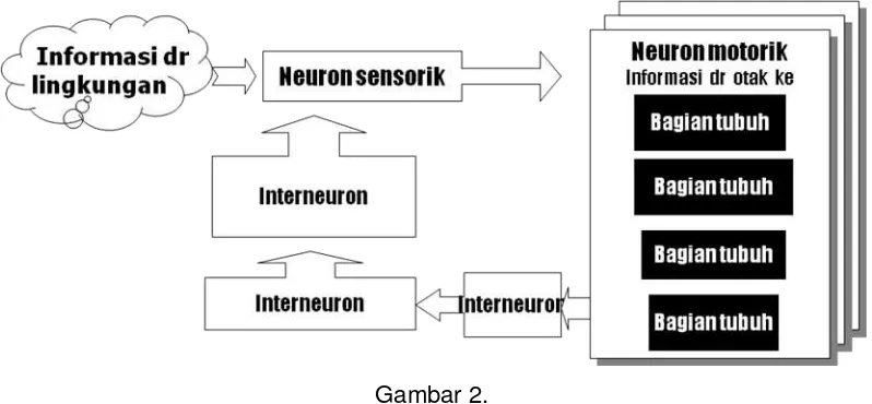 Gambar 2.  Alur informasi dalam teori neuroscience 