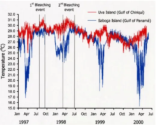 Figure 5. Sea temperature variability at Uva Island (red) and Saboga Island (blue) study reefs,  January 1997-May 2000, 2 m depth