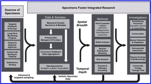 Fig. 4. Specimens help integrate across diverse research agendas and provide ready access to data and samples for scientists, managers, and policy makers.