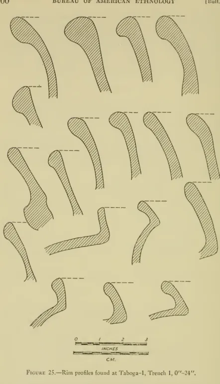 Figure 25. — Rim profiles found at Taboga-1, Trench 1, 0&#34;-2-l&#34;.