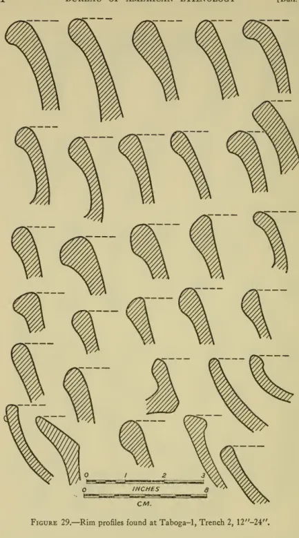 Figure 29. — Rim profiles found at Taboga-1, Trench 2, 12&#34;-24&#34;.