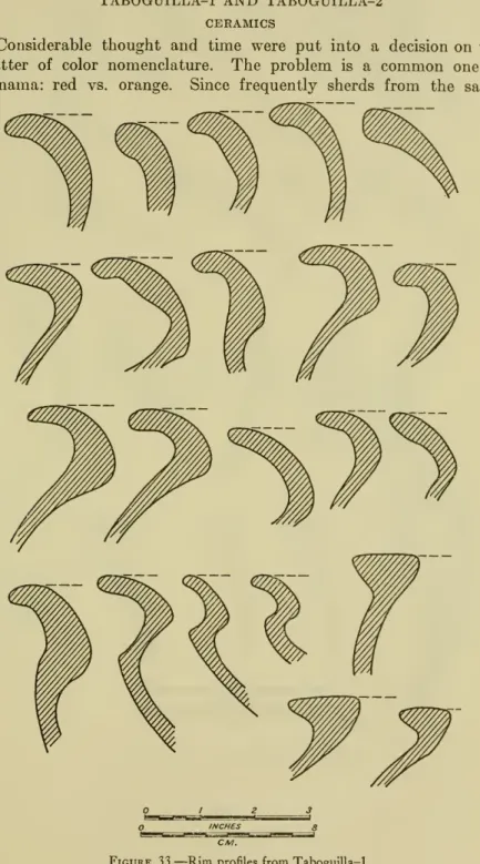 Figure 33. — Rim profiles from TaboguIlla-1.