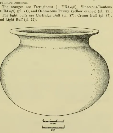 Figure 35. — Restored Taboguilla buff ware jar.