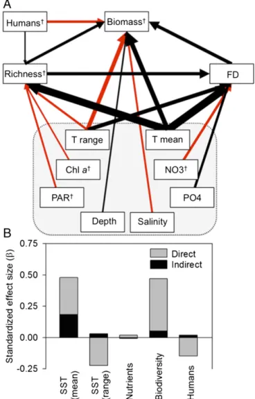 Fig. 1. (A) Path diagram of factors influencing global reef fish biomass.